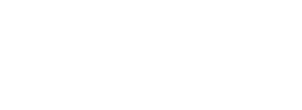 Borbonus Family Foundation