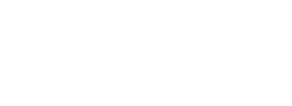 Borbonus Family Foundation